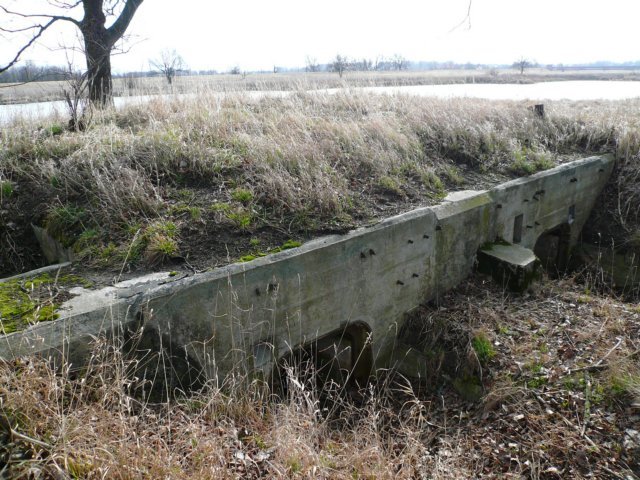 photo10.jpg