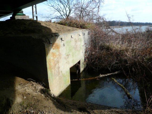 photo7.jpg