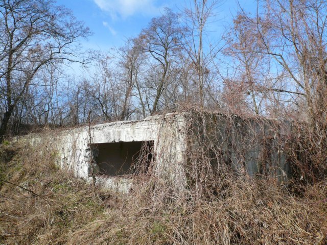 photo9.jpg