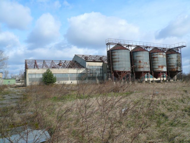 photo5.jpg