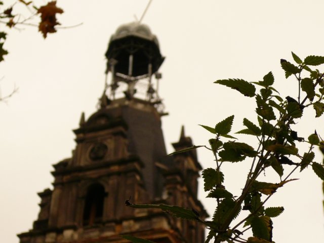 photo7.jpg
