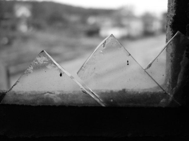 photo7.jpg