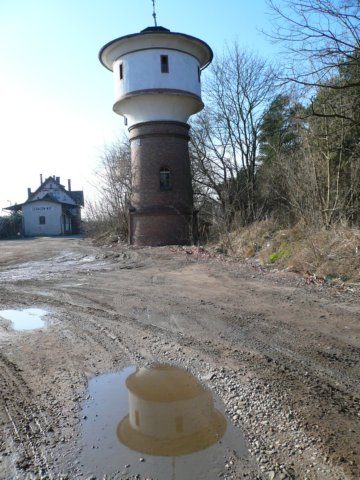 photo11.jpg