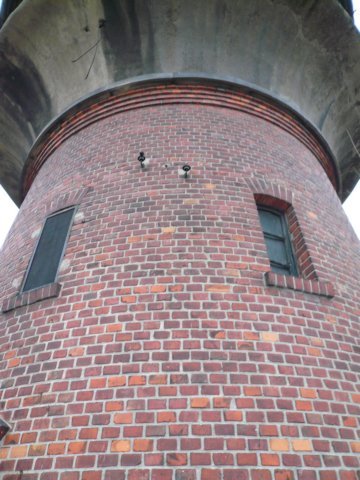 photo6.jpg