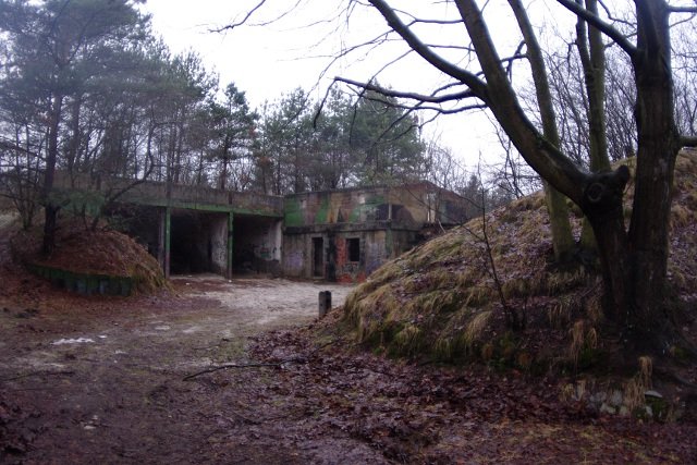 photo2.jpg