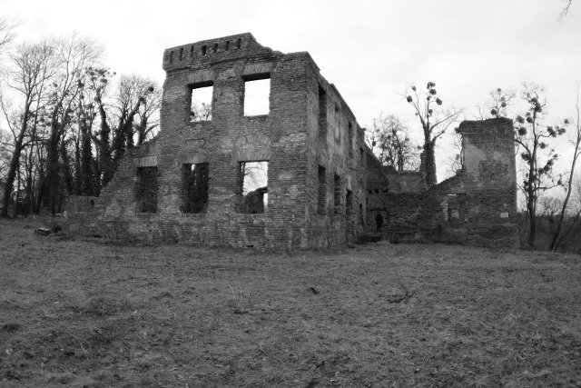 photo9.jpg