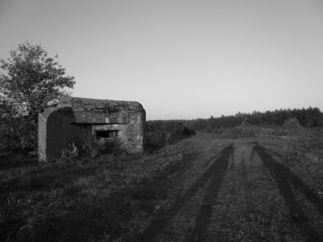 photo.jpg