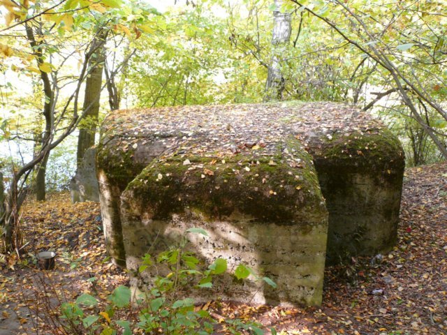 photo5.jpg