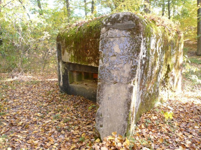 photo6.jpg