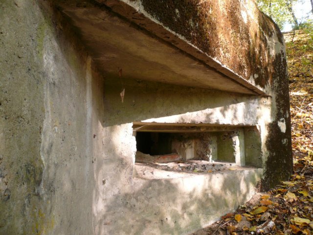 photo8.jpg