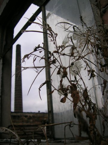 photo9.jpg