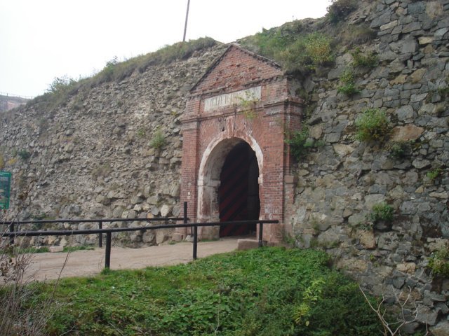 photo.jpg