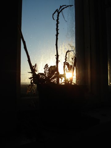 photo14.jpg