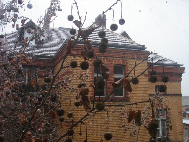 photo27.jpg