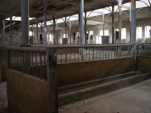 photo5.jpg