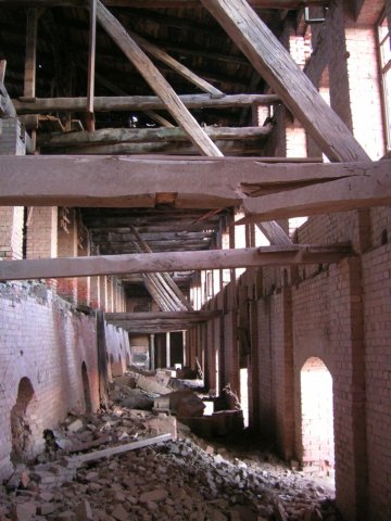 photo10.jpg