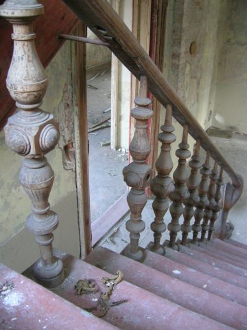 photo7.jpg