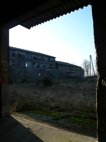 photo4.jpg