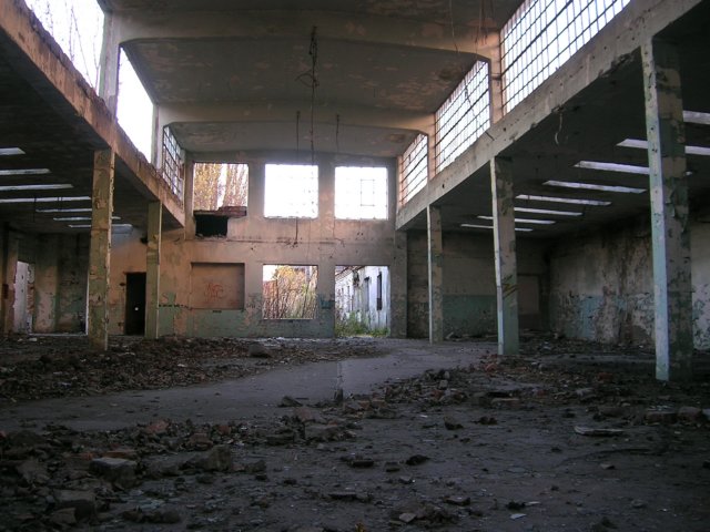 photo11.jpg