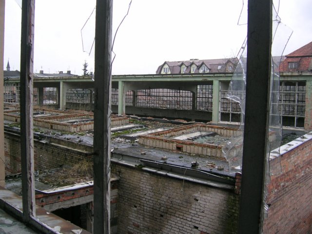 photo35.jpg