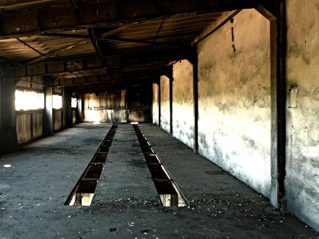 photo7.jpg