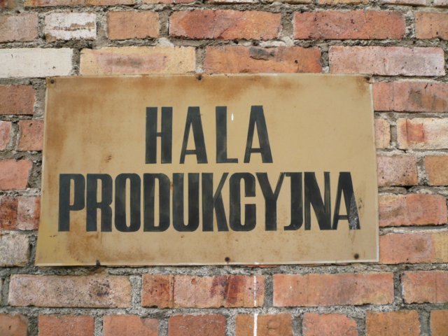 photo3.jpg