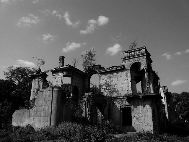 photo.jpg