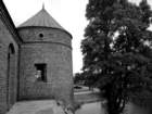 photo4_small.jpg