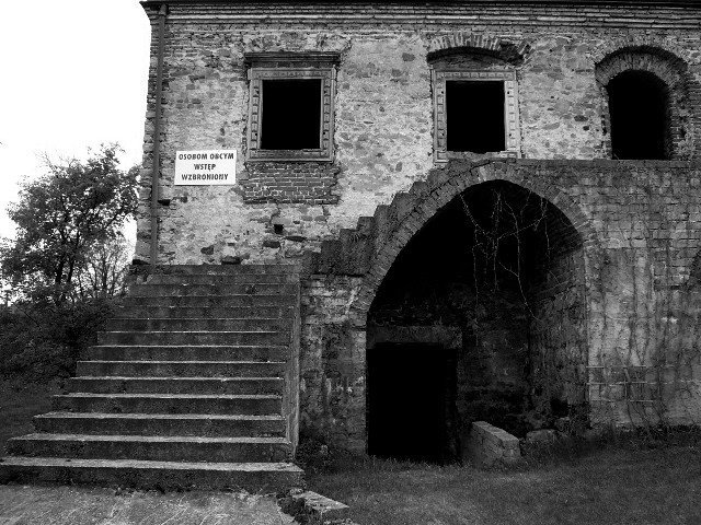photo7.jpg