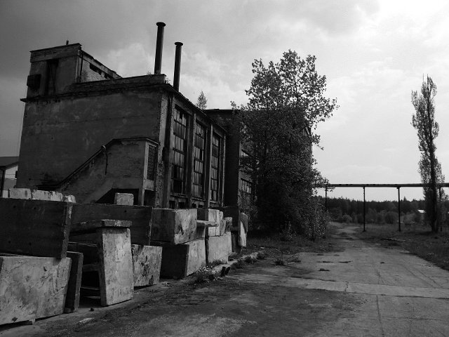 photo7.jpg