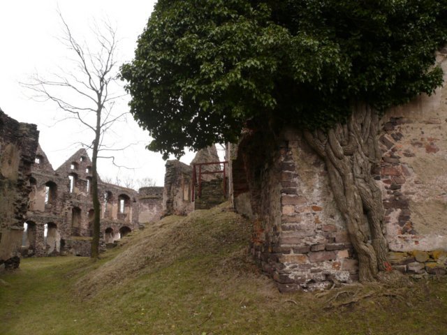 photo10.jpg