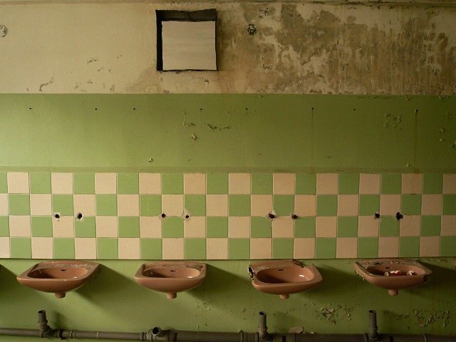photo8.jpg