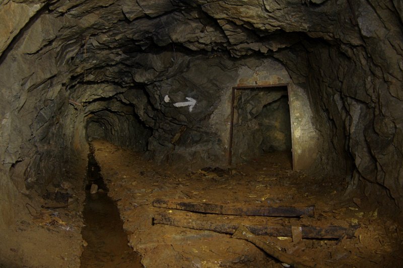 photo5.jpg