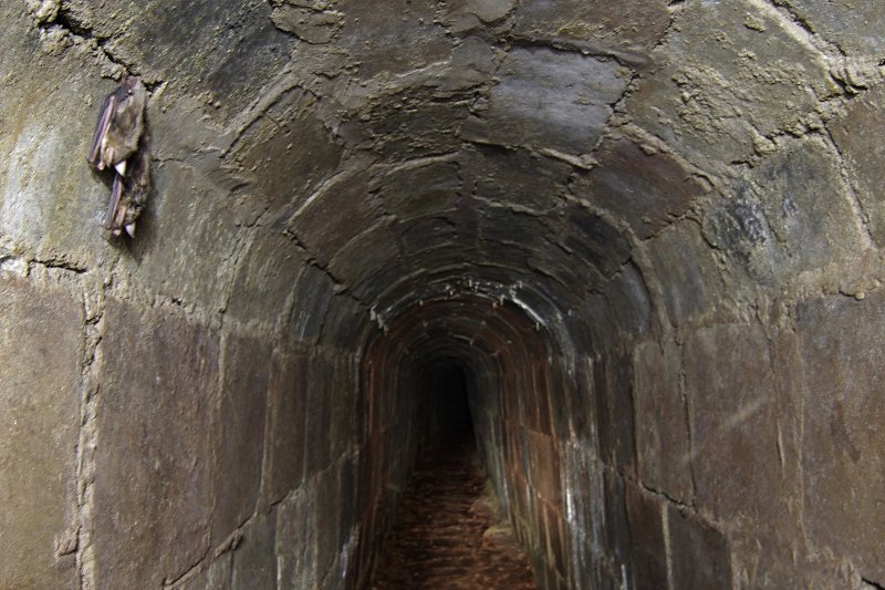 photo8.jpg
