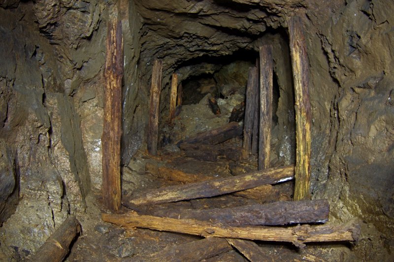 photo6.jpg