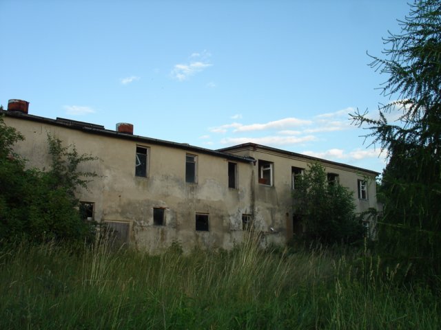 photo16.jpg