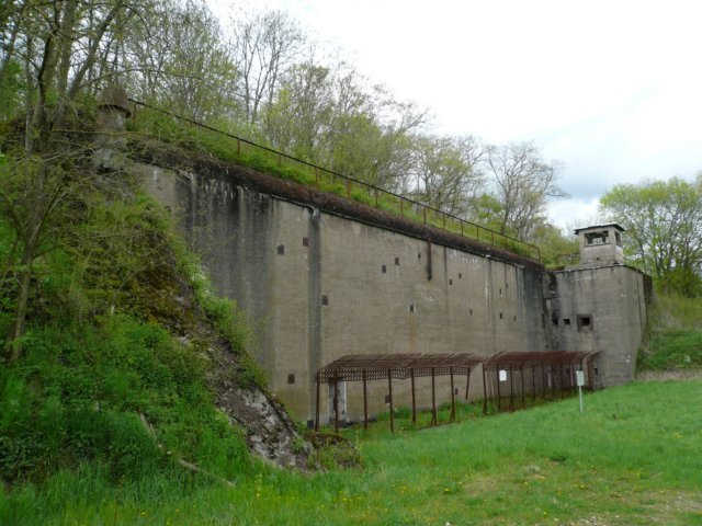 photo10.jpg