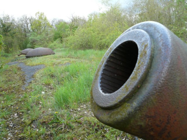 photo8.jpg