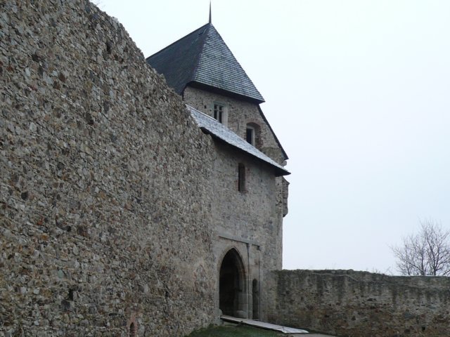 photo6.jpg