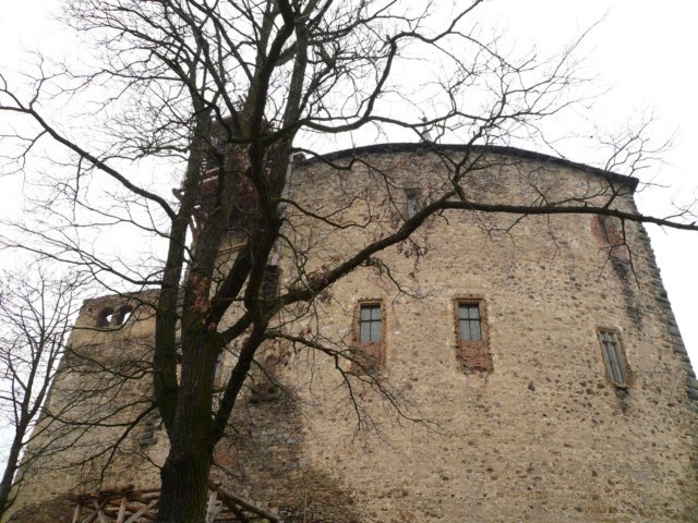 photo8.jpg