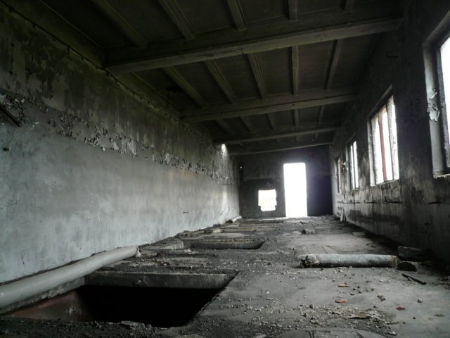 photo22.jpg