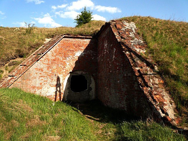 photo8.jpg