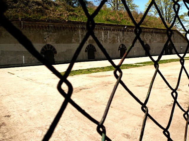photo10.jpg