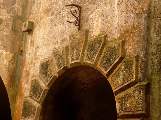 photo5.jpg