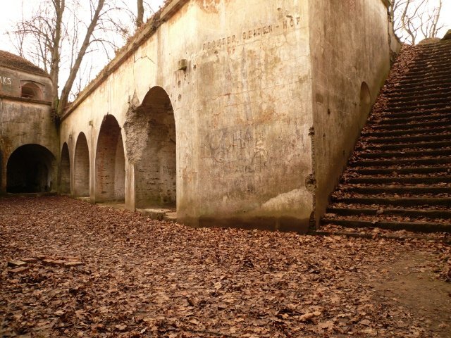 photo7.jpg
