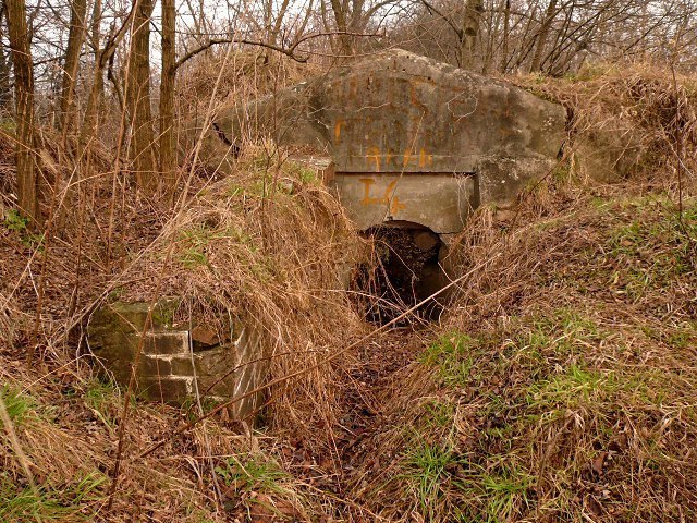 photo2.jpg