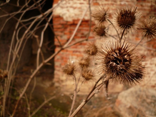 photo5.jpg