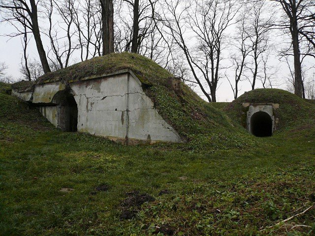 photo3.jpg