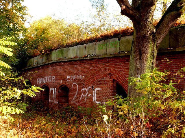 photo3.jpg