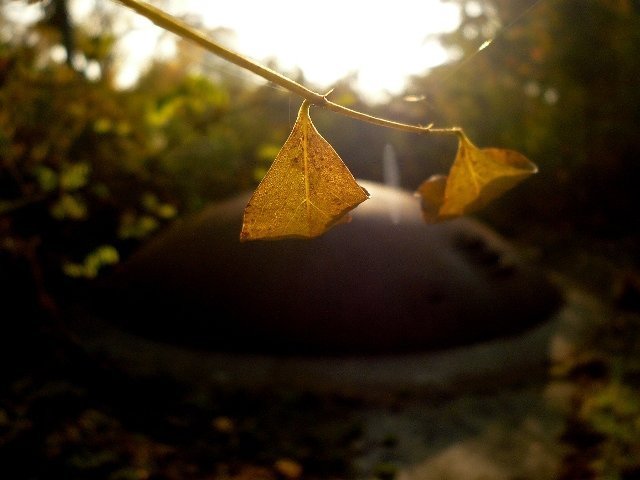 photo7.jpg